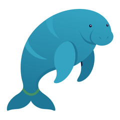 Manatee on white background
