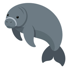 Manatee on white background
