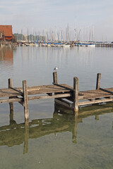 Fototapeta premium a jetty on Lake Ammersee in Bavaria with sailing boats and a seagull