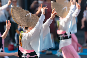 阿波踊り