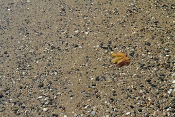 Pebbles with sand and ripples in the clear shore water of a lake