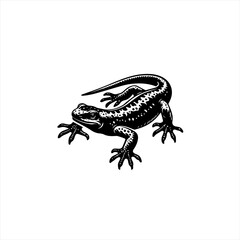 Fototapeta premium Black and white illustration of a spotted newt on a white background