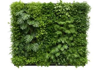 Illustration of a Lush Vertical Garden with Assorted Plants