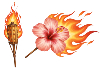 Illustration: Flaming Hibiscus and Torch on Transparent Background
