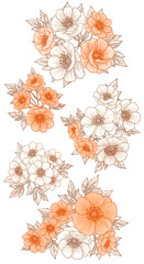 Illustration of Orange and White Flowers on Transparent Background