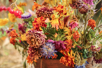 Withered autumn pink yellow orange red purple bouquet with withered dahlia, aster, marigold flower and colorful leaves. Dry dying wilted fall flowers close up macro