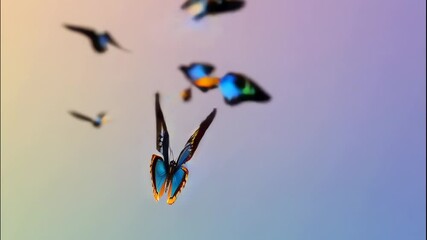 A vibrant butterfly with blue and orange wings flying with other butterflies in the sky