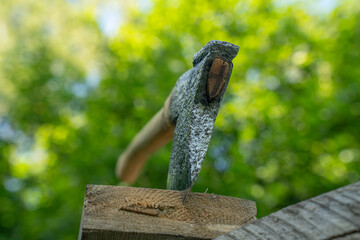 Finnish axe in green forest - close up.