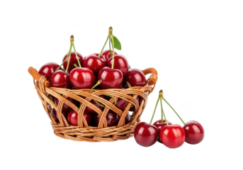 Ripe red cherries in a woven basket with loose cherries on cherry fruit