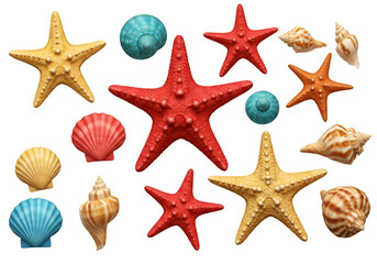 Illustration of Starfish, Seashells on Black Isolated Background