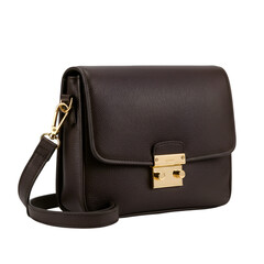 Elegant Leather Handbag Illustration