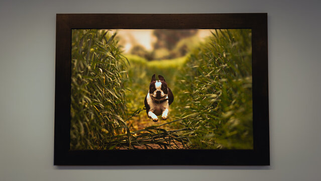 Went for a walk at the clinic