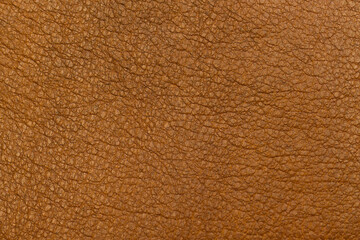 Close-up of Brown Leather Texture