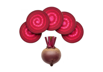 Whole beet and sliced beet circles with vibrant red rings on beetroot root