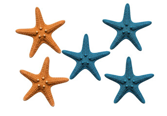 Vivid Starfish Abstract Illustration Against Black Background