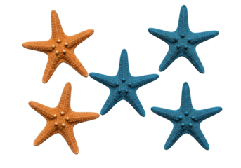 Vivid Starfish Abstract Illustration Against Black Background