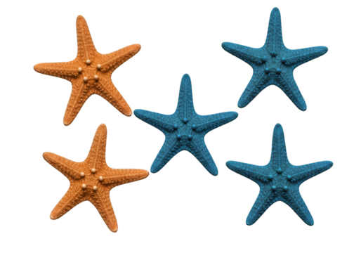 Vivid Starfish Abstract Illustration Against Black Background