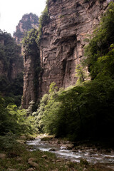The Gold whip Stream in Zhangjiajie national forest park with its beautiful nature