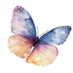 Colorful butterfly wings with water droplets, delicate and vibrant insect in nature