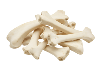 Photo of Pile of Bones on Black Background, Realistic Image