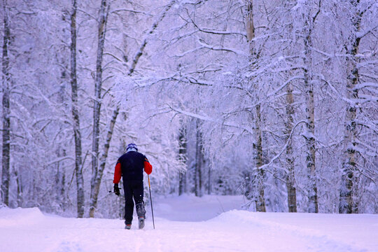 Cross-country skier in snowy forest - Powered by Adobe