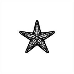 Obraz premium Black and white detailed starfish silhouette on white background