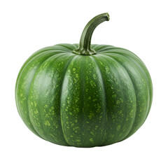 Green Pumpkin Photo Isolated on Black Background, Close-up View
