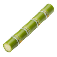 Isolated Photo of a Sugarcane Stalk on Black Background