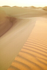 Stunning Huacachina desert sand dunes in the evening sunlight, Ica region, Peru, South America