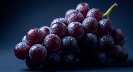 Fresh Dark Purple Grapes with Dewy Water Drops on a Moody Background