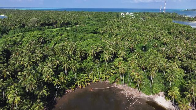 Aerial view of Goidhoo Island shows lush green vegetation contrasting with the blue ocean and sky with towers, Goidhoo, Baa Atoll, Maldives.