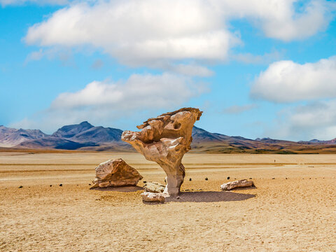 Arbol de Piedra (tree of rock), the famous stone tree rock formation created by wind, in the Siloli desert in Bolivia