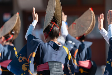阿波踊り