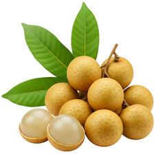 Isolated Fresh Longan Fruit on Transparent Background
