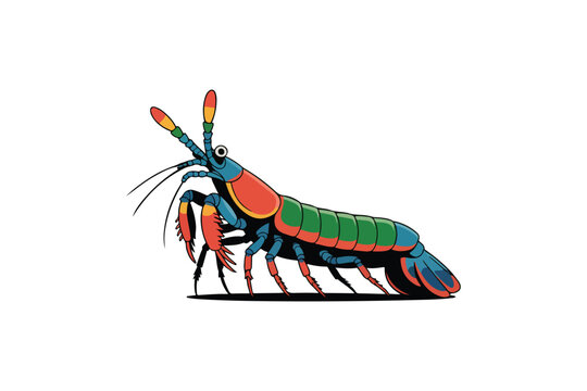 Colorful Mantis Shrimp Illustration Stylized Rainbow Boxer Shrimp Vector