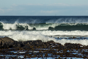 Large waves at the coast of the Namaqua National Park, South Africa