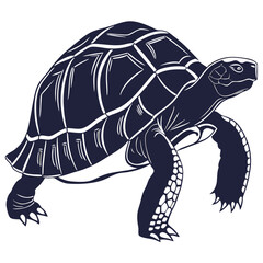 Fototapeta premium Tortoise Vector Illustration – Cute Reptile Animal Design