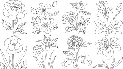 Floral Outline Vector Illustration with Various Flowers and Botanical Elements Art