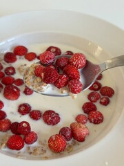 yogurt with raspberries