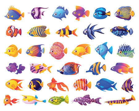 Tropical aquarium fish. Cartoon cute sea exotic underwater animal collection, goldfish marine clown red yellow fish character ocean under water dive life swanky vector illustration