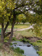 A small stream running through a lush green park
