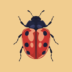 vector ladybug illustration realistic hand drawn
