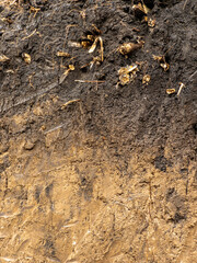 Close -up earthen sterea with roots in the context