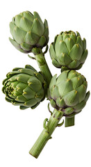 Obraz premium Isolated Photo Four Artichokes on Black Background