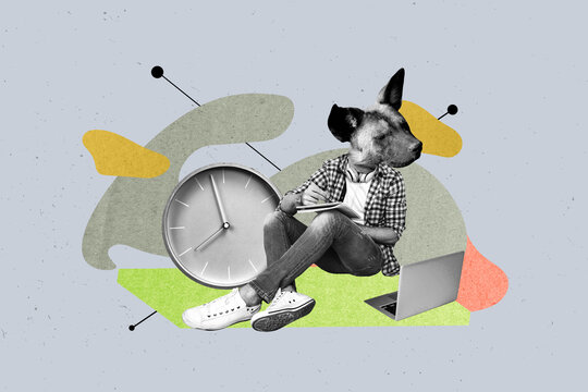 3d sketch poster trend collage image of anonym girl guy type laptop freelancer worker instead head dog avatar domestic animal