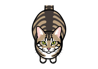 Fototapeta premium Tabby cat illustrationV