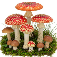 Obraz premium Isolated PNG Illustration of Red and Brown Mushrooms on Moss