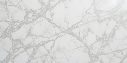 Obraz premium Luxurious white marble texture with elegant grey veining. A detailed natural stone surface, perfect for an abstract background or design element.