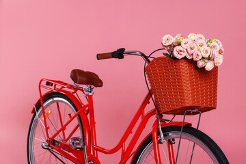 Bicycle with basket of beautiful flowers on pink background