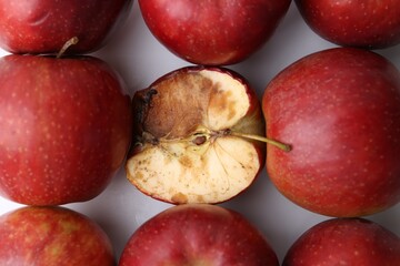 Spoiled apple and good ones on white background, flat lay
